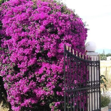 Hellens Village Almiros Beach Bagian luar foto